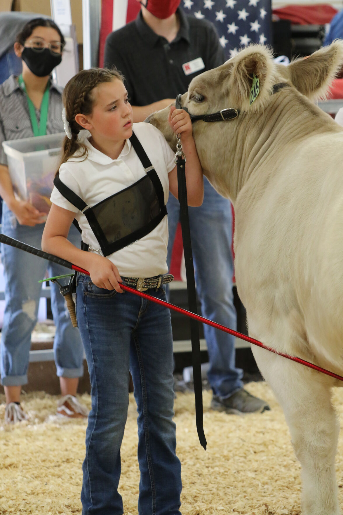 PHOTOS: Market Beef Show 2020